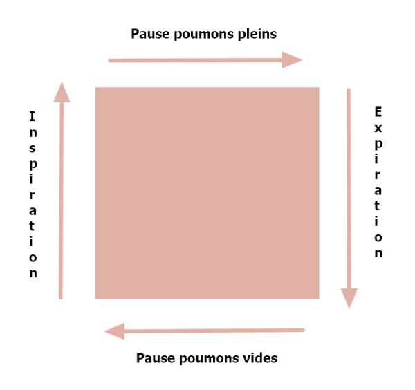 Principe de la respiration carrée, pause poumons pleins puis expiration, puis pause poumons vides puis inspiration et vice et versa